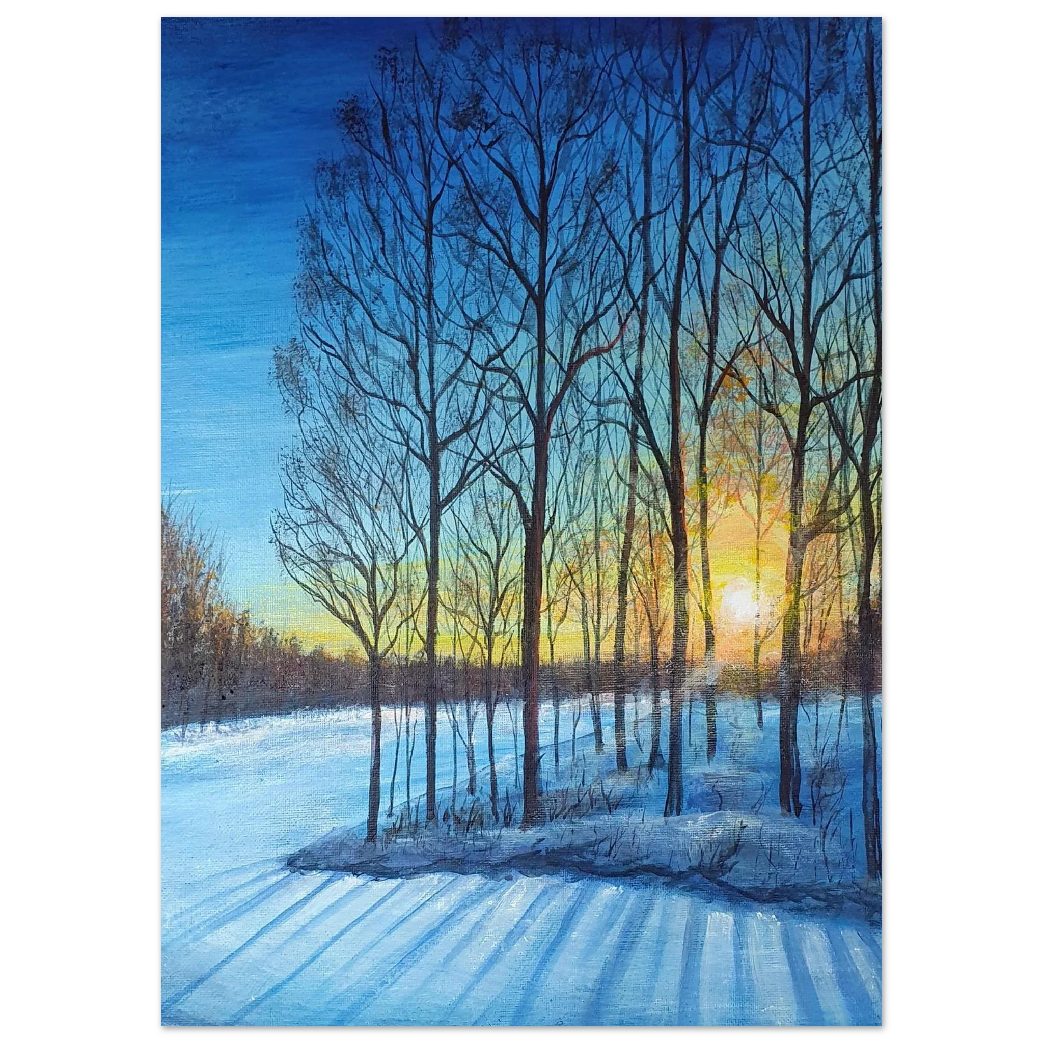 Winter Solstice Birches