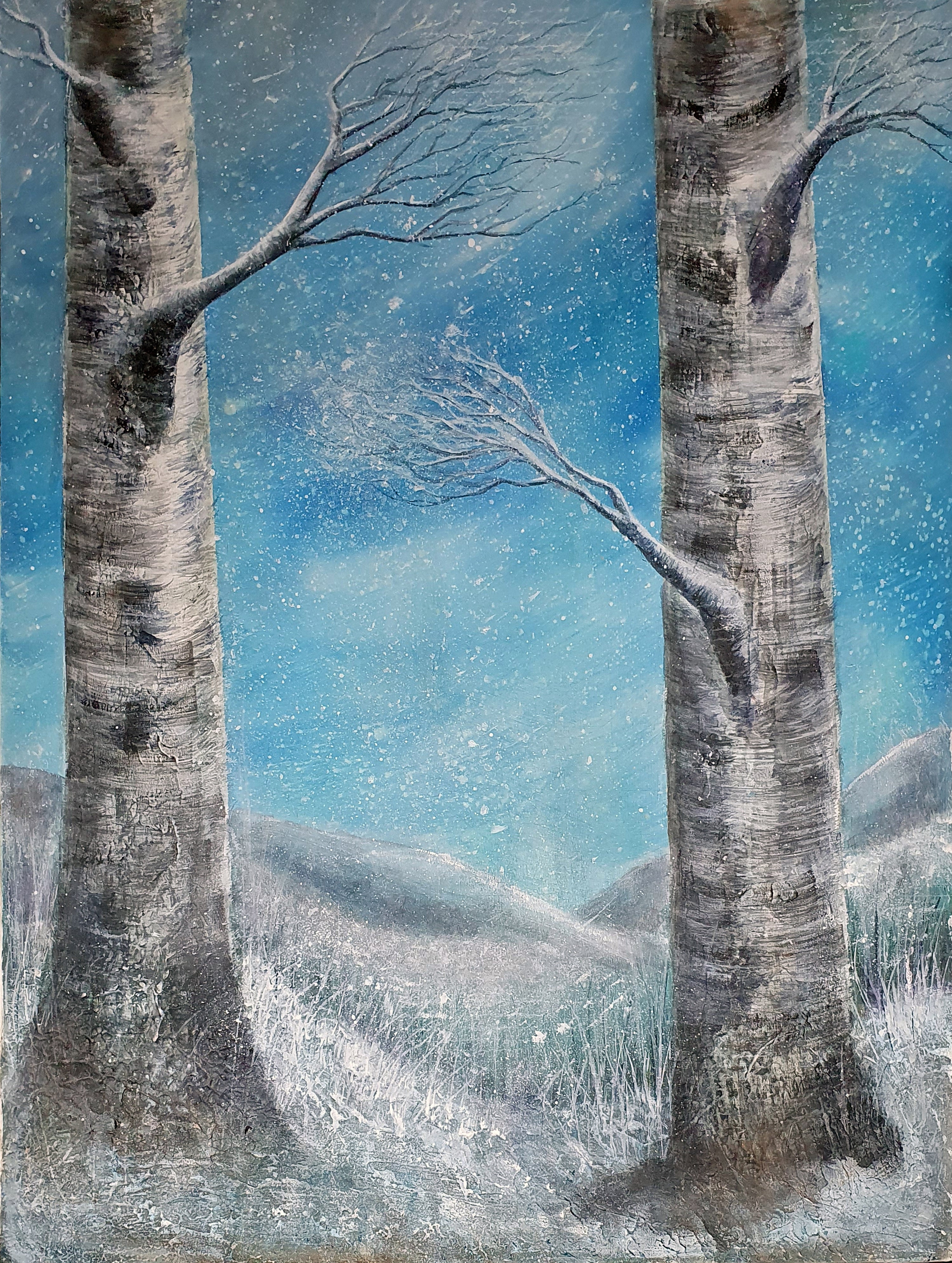 Winter Birch Sister Trees