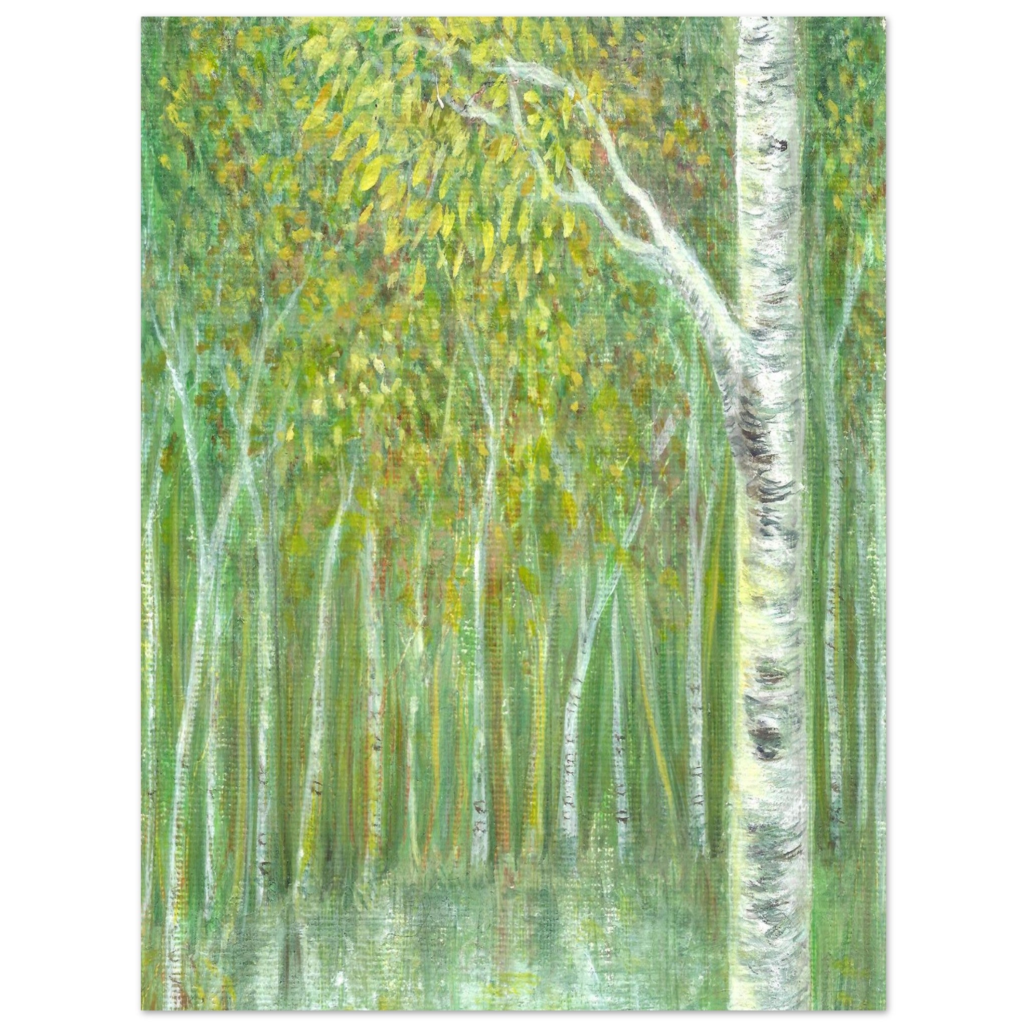 b6d095b1-b5c3-438f-a0ca-7c28c1e70d81